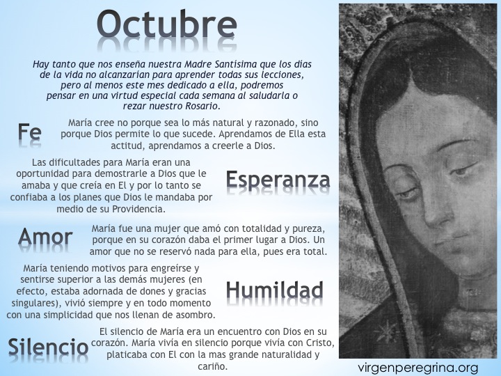 http://www.virgenperegrina.org/documentos/imagenes/C%20OCT%20INTRODUCCION.jpg