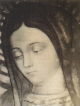 http://www.virgenperegrina.org/documentos/imagenes/VG%205.jpg